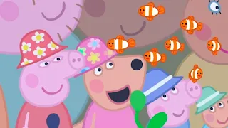 CartoonKiDs BR - Peppa Pig em Português Brasil- Episodio Completo 7x18