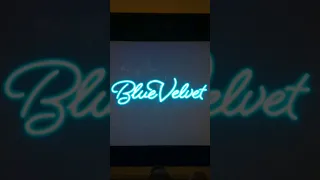 Blue Velvet (1986) Trailer In Cinema