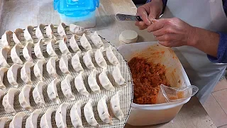 Amazing Skills of Handmade Dumpling Master - Korean Street Food / 수제만두 달인