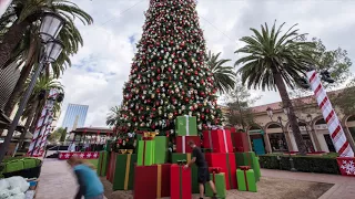 Fashion Island's Tree Lighting Ceremony Sneak Peek