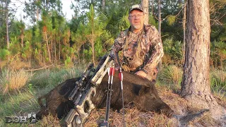 Spot & Stalk, Close-Range Florida Hog Hunting