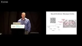 Michael Ibbotson - Understanding attention and predictive coding circuits [2015]