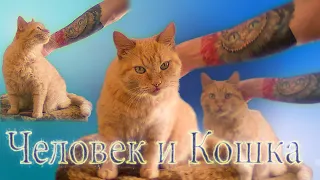 Человек и Кошка (Группа "Ноль")