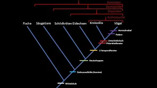 Kladistik Tutorial (phylogenetische Systematik)