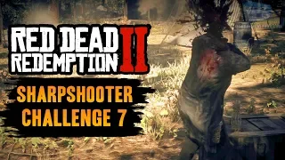 Red Dead Redemption 2 Sharpshooter Challenge #7 Guide - Get 7 headshots in a row