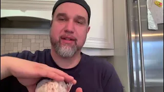 BANDING AN OLDER PIGEON WITH A TSHIRT, SOAP & A FEATHER