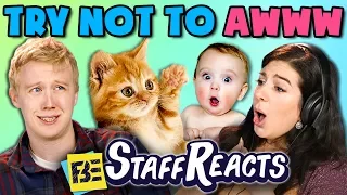 TRY NOT TO AWWW CHALLENGE (ft. FBE Staff)