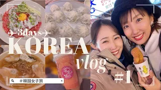 【韓国vlog】2泊3日韓国旅行 2023冬 最新グルメ 天然女子と食べて呑んでまた食べて！！KOREAvlog #韓国女子旅#한국#여자여행#女孩旅行#韩国旅游
