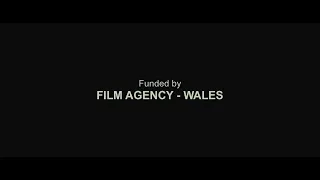 [FAKE/DLC] Irish Film Board/Film Agency Wales/Element Pics./David Hughes Prods. logos (2012)