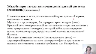 Пропедевтика внутренних болезней. Методы исследования мочевыделительной системы