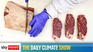 The Daily Climate Show: Can Britain stomach artificial meat?