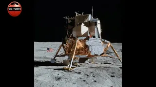 Dragon 1:48 Apollo 11 Lunar LanderPart one