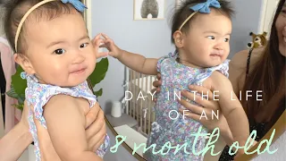 8 Month Old Baby Day in a Life