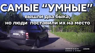 Подборка САМЫХ "УМНЫХ" водителей #386