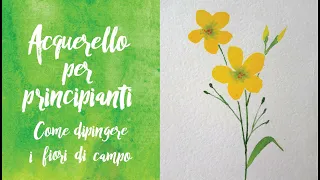 ACQUERELLO PER PRINCIPIANTI - Come dipingere i fiori di campo