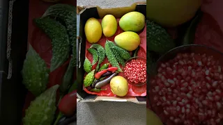 Mangoes, Pomegranate, Chillies, Bitter Melon - Fresh From Garden #youtubeshorts #gardentricks