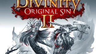 Divinity Original Sin 2 - 1 (классический режим)