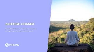 Дыхание собаки | Кундалини йога