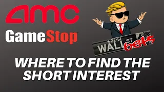 GME Stock & AMC Stock Short Interest Reporting Today! PLUS Private Community/Training Update