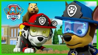 Marshall de Ultimate Rescue sauve la journée - PAW Patrol dessins animés pour enfants