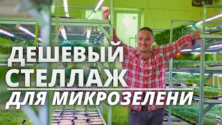 Дешевый эффективный стеллаж микрозелень гидропоника  микрогрин работа на дому