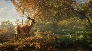 На Охоте | theHunter: Call of the Wild #2027