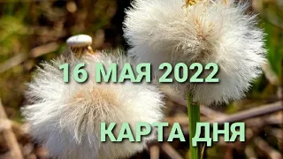 16 мая 2022 | карта дня | все знаки зодиака 🃏🍀💫