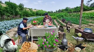 Cooking Chicken with Walnuts. Cooking Borscht from Fresh Cabbage. Pickling Cabbage for the Winter.