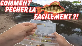 COMMENT PÊCHER LA PERCHE FACILEMENT ?! (matériels, animations, conseils pour débutant...)