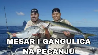 MESAR I GANGULICA NA PECANJU