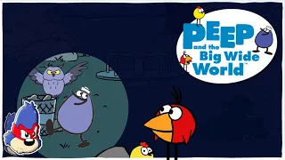 Peep and The Big Wide World Games | PBS Kids | PBS Kids Games | Night Light Game