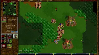 Warcraft 2 3.5.2024