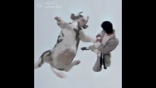 البقرة بتلعب كاراتيه