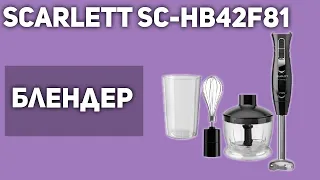 Блендер Scarlett SC-HB42F81