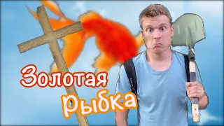 Золотая рыбка 🐠