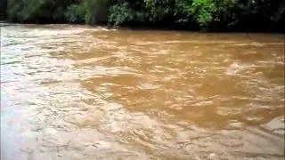 pesca de dorado na corredeira  " rio cabaçal"