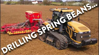 4Kᵁᴴᴰ March 2024: CAT Challenger MT845 C crawler & Väderstad Rapid A800S 8m drill drilling beans