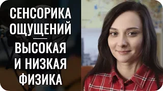 Сенсорика ощущений БС, высокая и низкая Физика