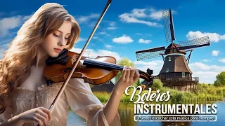 THE MOST ROMANTIC VIOLIN LOVE COLLECTION OF ALL TIME ️🍷 ELEGANT AND LUXURIOUS TONE