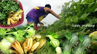 Buhay probinsya | kumuha at nagluto ng fresh na gulay | dinengdeng ilocano dish