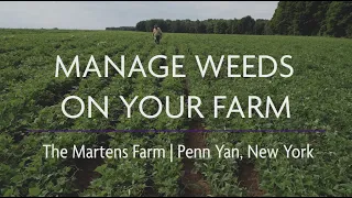 Manage Weeds on Your Farm: Ecological Weed Management at the Martens Farm, Penn Yan, NY
