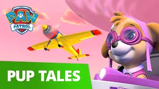 Skye Saves Ace and Her Plane! ✈️ PAW Patrol Pup Tales Rescue Episode!