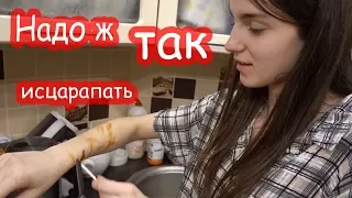 VLOG Катю исцарапал Батон. У нас гости. Классный прожектор