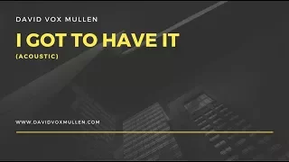 David Vox Mullen - I Got To Have It (Acoustic)