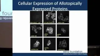 SENS5 - MitoSENS: Allotopic expression of mitochondrial genes - Part 1