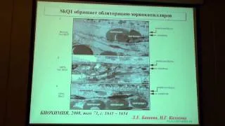 Скулачев М.В. Лекция 2. История создания  препарата Визомитин и принцип его работы