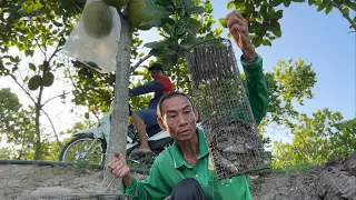 Đặt Lợp Trong Mùa Nắng Hạn Cặp Ao Cá Tra Con Dính Ếch Bành Bành.Góc Làng Quê#1163