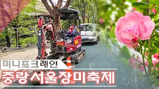 중랑구 서울 장미공원 축제_얀마 017 미니포크레인 굴착기 굴삭기 mini excavators YANMAR VIO17 South Korea 덩굴 지지대 기초 공사