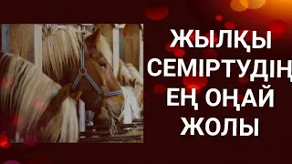 Жылқыны қалай семіртеді жылқыны семірту жылқыны тез семірту жылқыны бордақылау жылқыны баптау