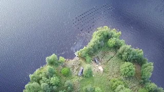 урочище Петровский Ям и впадение реки Верхний Выг в Выгозеро